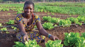 newsroom_solarpumping_2