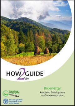PagesdeIEA_H2G_Bioenergy_2017_WEB
