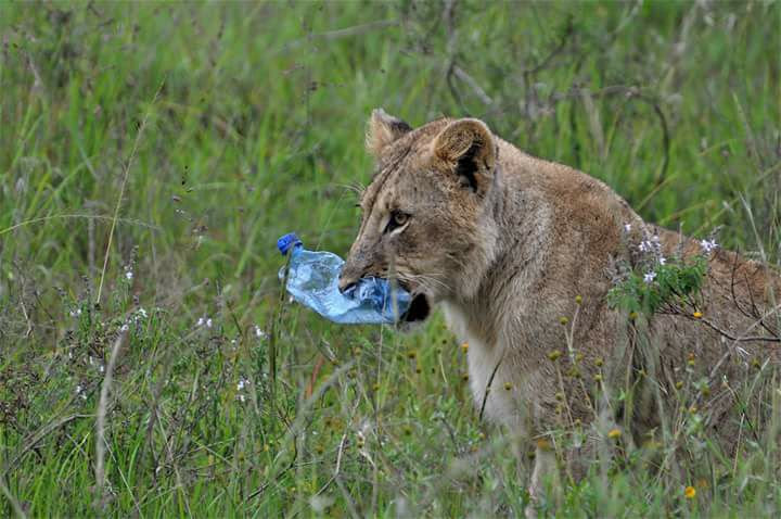 _Photo_2-_Plastic_pollution_in_Kenya%u2019s_national_parks._Credit_@Maciej_Sudra___