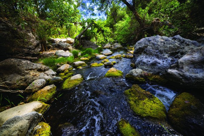 CLO22_NatureExpansive_011 (1)