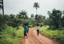Young people hold the key to Africa’s green economy