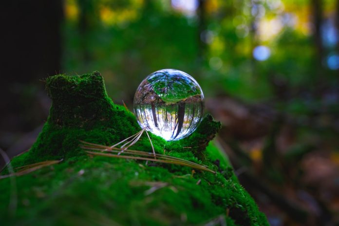eco