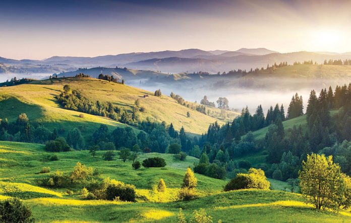 nature