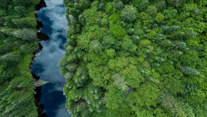 ABB_Sustainability_Agenda_-_Pillar_image_-_Enabling_a_low-carbon_society