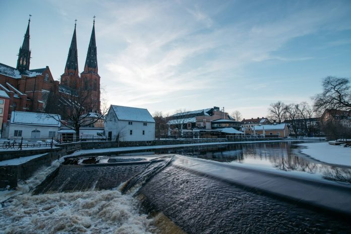 Unsplash (Niclas Lundin)