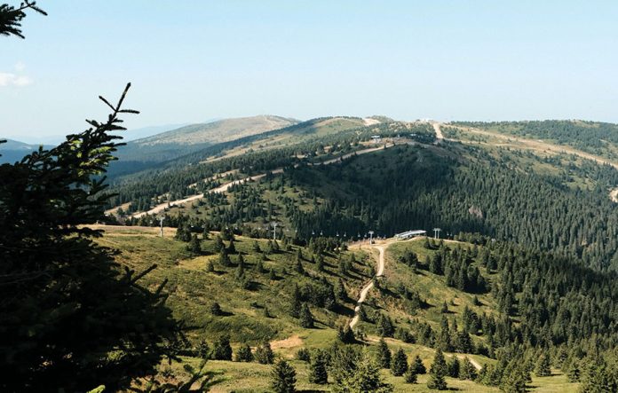 neon-joi-rCC4mSObuQY-unsplash