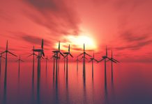 Low Auction Budget Puts UK Offshore Wind at Risk