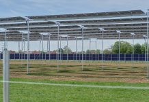 Strategically Placed Solar Panels Do Not Disrupt Agriculture – Food and Electricity on the Same Plot