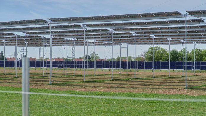 soalrni paneli, solar, agrosolar, poljoprivreda