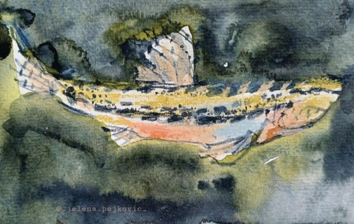 Ilustracija---Jelena-Pejković