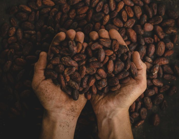 pablo-merchan-montes-SCbq6uKCyMY-unsplash