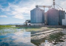 Exposed: Uncontrolled Biogas Expansion Funded by Public Purse