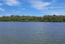 Danube4all – Restoring Danube Floodplains for the Benefit of Nature and People