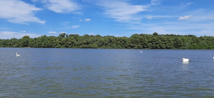 Veliko ratno ostrvo pogled sa Zemunskog keja