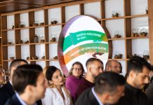 The First Step Toward Net Zero: How Small Businesses Can Become Climate Heroes